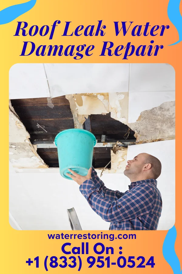 Roof Leak Water Damage Repair in Cleveland Heights, OH