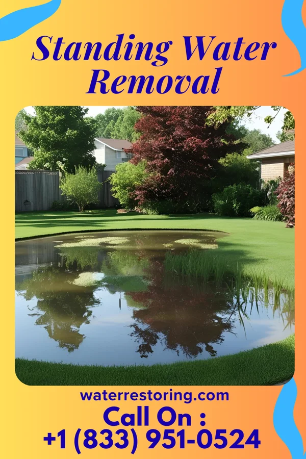 Standing Water Removal in Cleveland Heights, OH